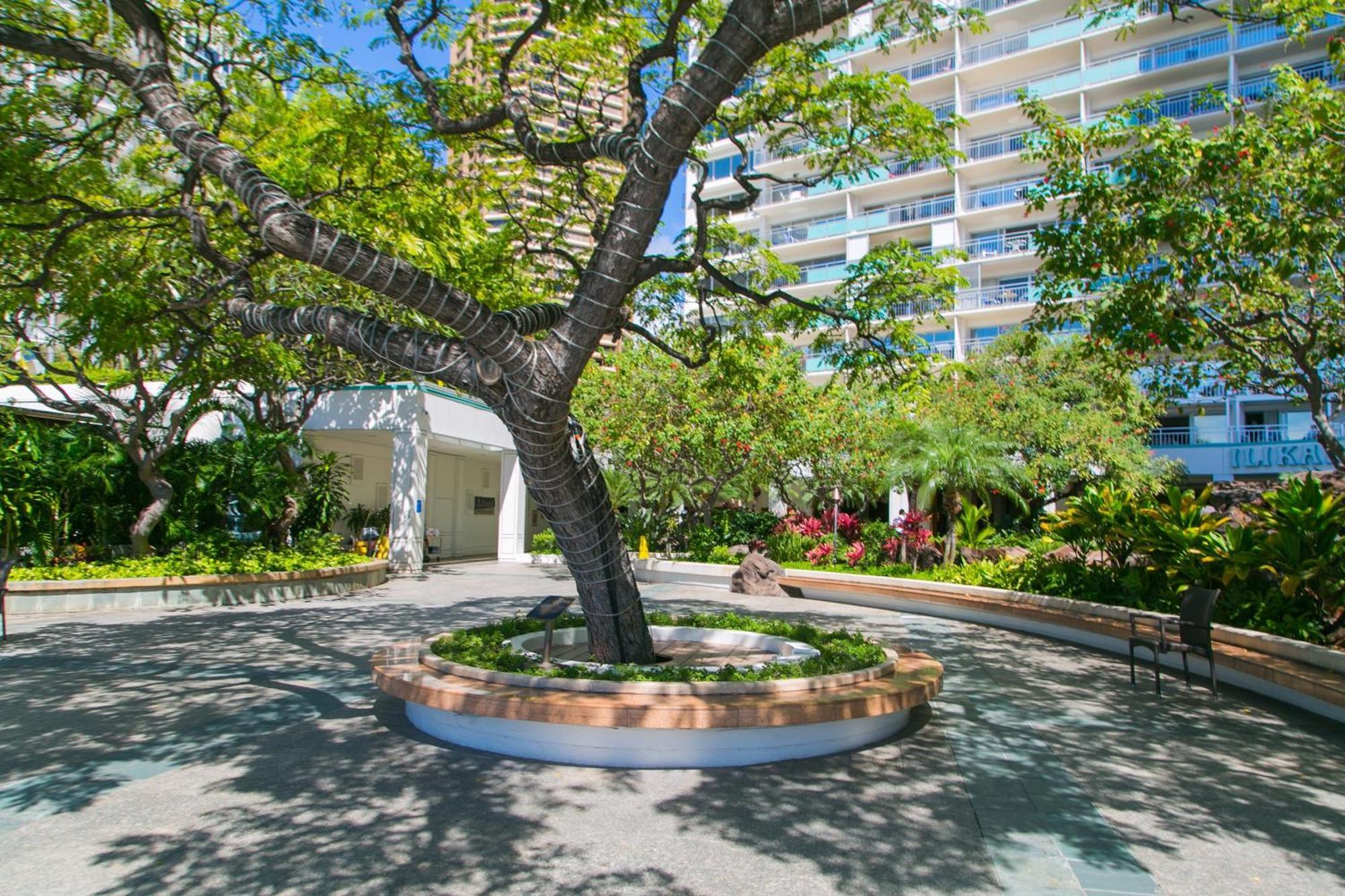 Ilikai Tower 931 Yacht Harbor View 1Br Διαμέρισμα Χονολουλού Εξωτερικό φωτογραφία
